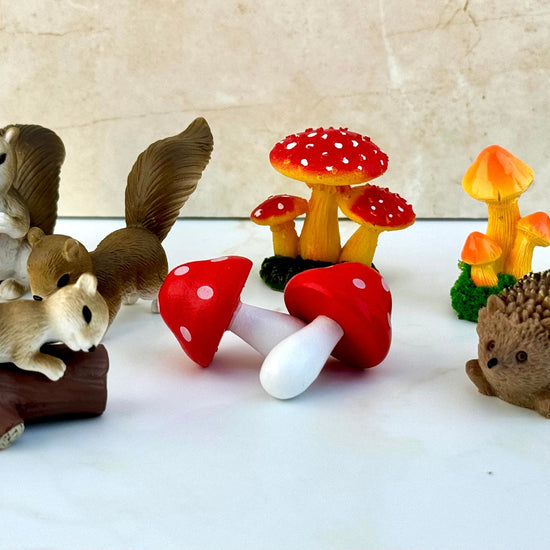 Air Plant Fairy Terrarium - Three Bears Emporium