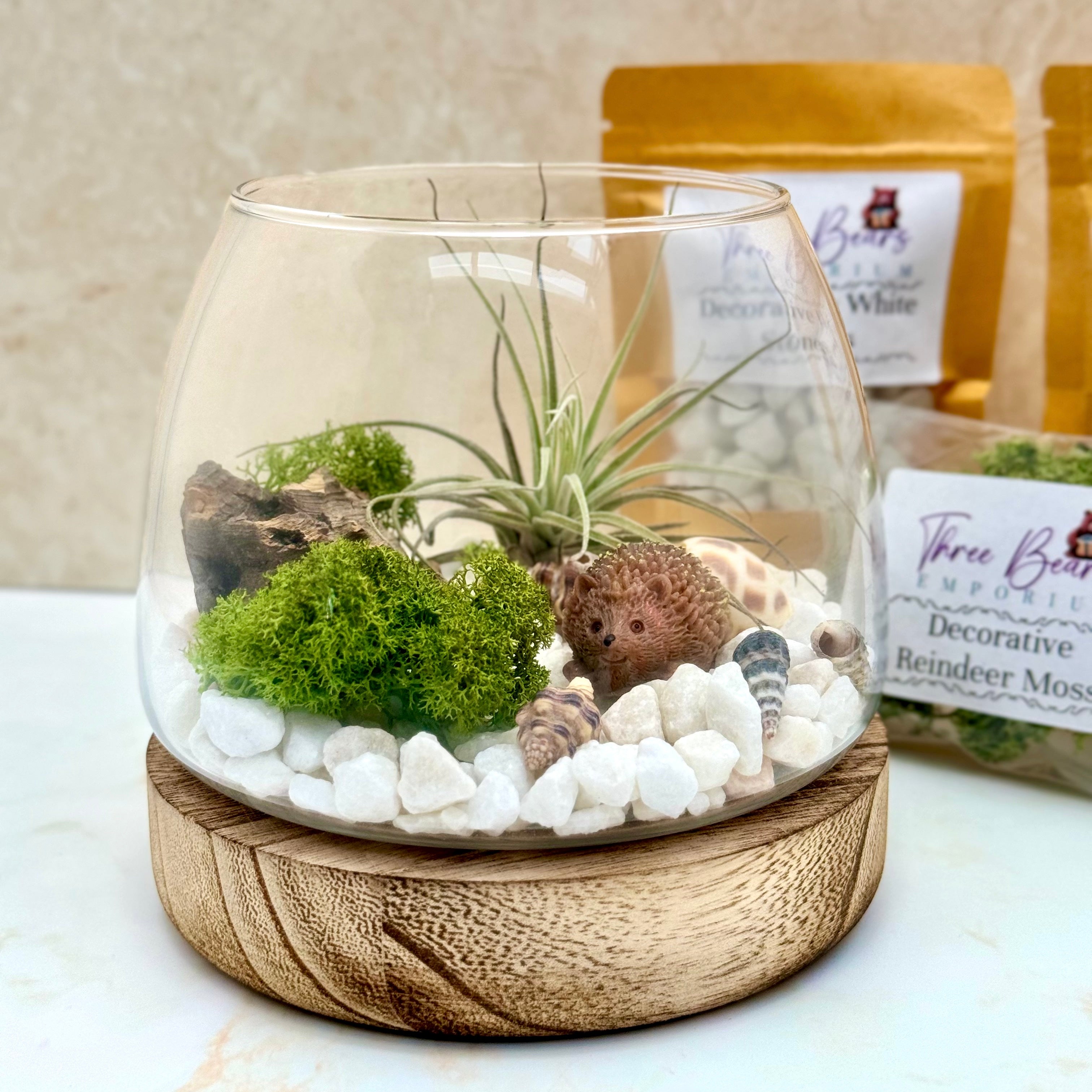 air plant terrarium uk Complete Air Plant Terrarium kit with fairy characters and plants – Three Bears Emporium