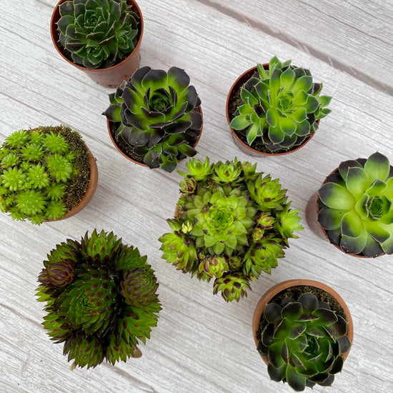 30 and Fabulous Gift Box | Birthday Gift For Her - Three Bears Emporium