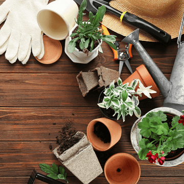 Plant the Seeds of Joy this Christmas with These 5 Ideal Gifts for Gardeners - Three Bears Emporium