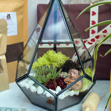 Pentagon Geometric Glass Terrarium with Hedgehog Fairy Figurine