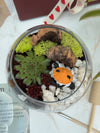 Glass Globe Terrarium Kit on Wooden Base with Animal Fairy Figurine