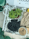 Down to Earth | Men's Gardening Hamper - Three Bears Emporium