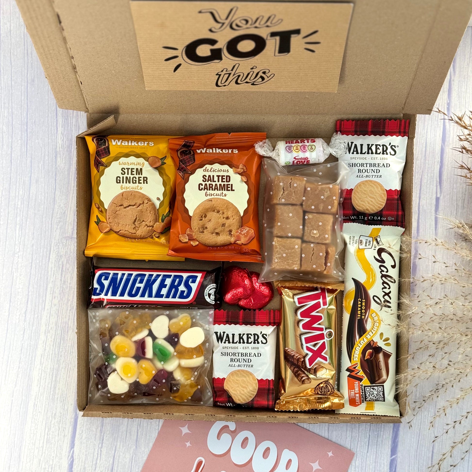 Revision Survival Kit - Three Bears Emporium