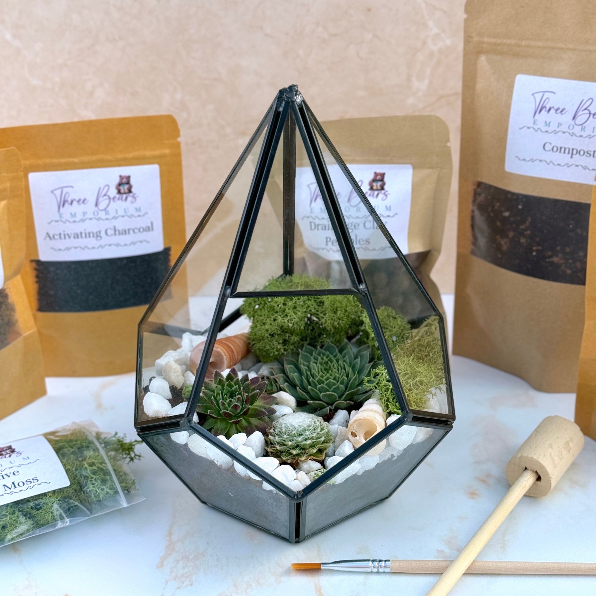 Terrarium Kit with Plants - Three Bears Emporium