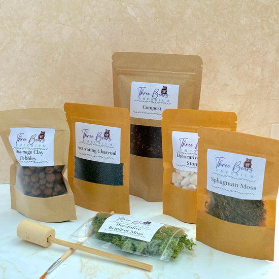 Terrarium Kit with Plants - Three Bears Emporium