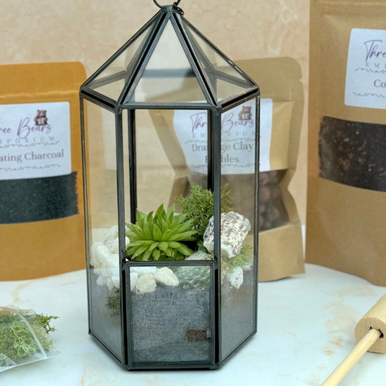 Terrarium Kit with Plants - Three Bears Emporium