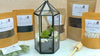 Terrarium Kit with Plants - Three Bears Emporium