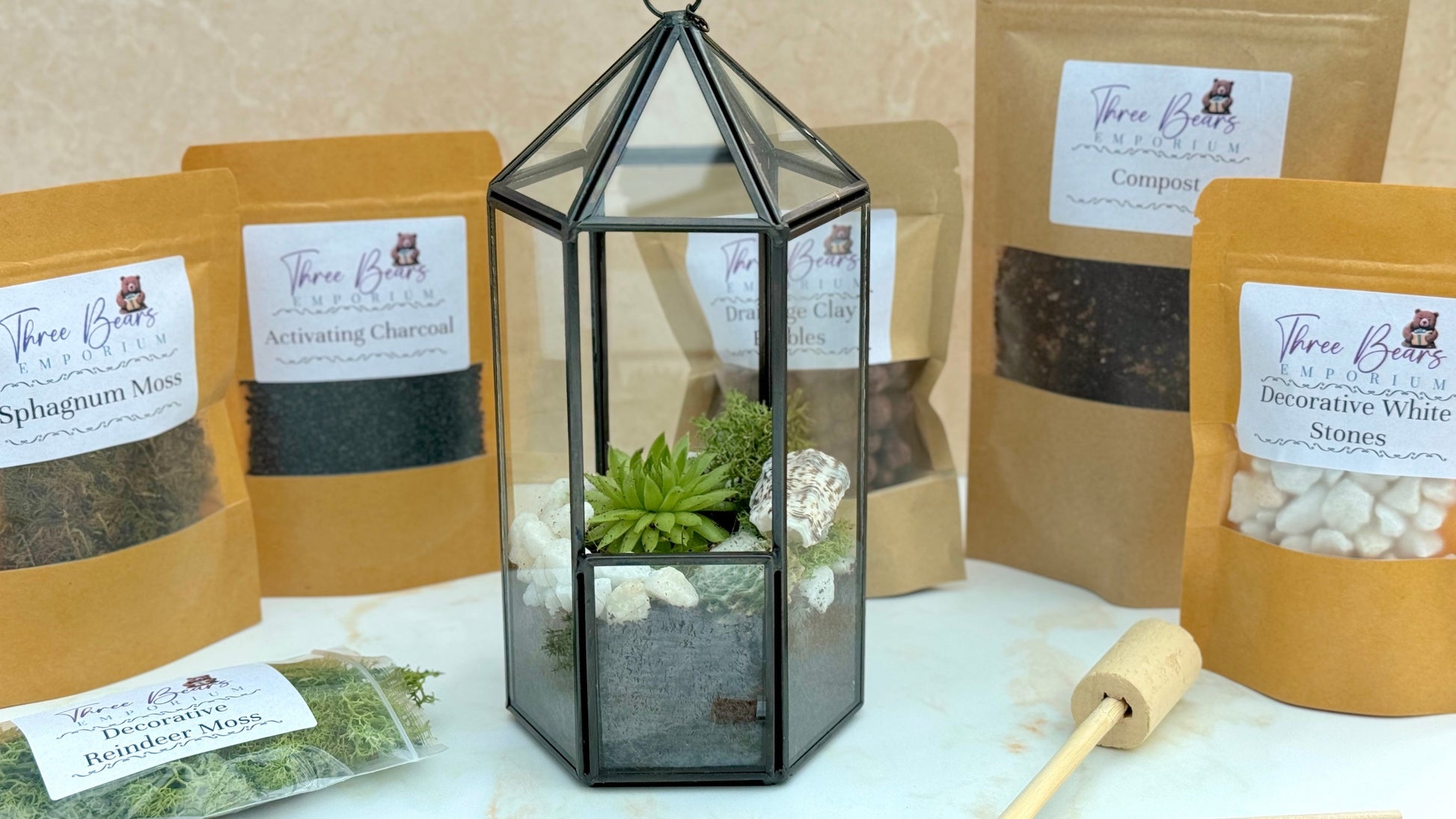 Terrarium Kit with Plants - Three Bears Emporium