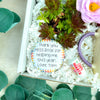 The Thank You Box | Teacher Gift - Three Bears Emporium