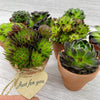 Gardeners Gift Box - Three Bears Emporium