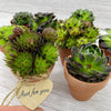 Gardening Gift For Women - Three Bears Emporium